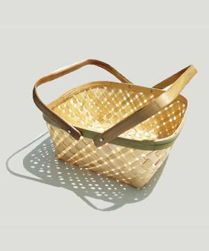 Moisturizer Summer Skin